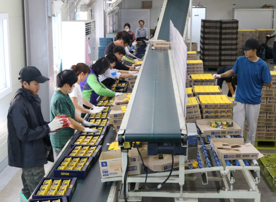 충북 진천군 CJ제일제당 스팸 선물세트 생산현장에서 직원들이 선물세트를 조립하고 있다. /사진제공=CJ제일제당