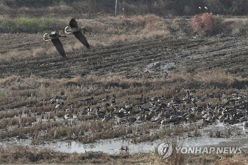 기사내용과 사진은 관계 없음