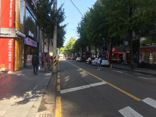 [코리아세일페스타 본격 개막] “축제 맞나요… 명동·가로수길 ‘썰렁’”