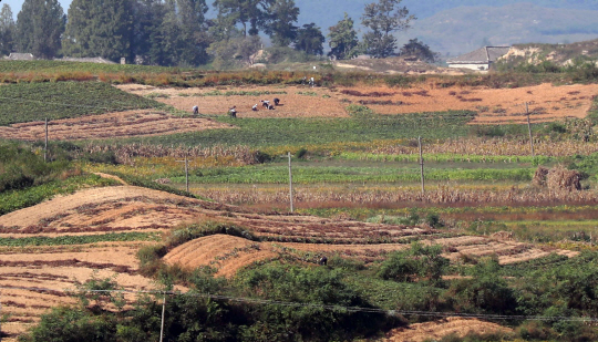 지난 달 28일 오전 북측 판문점 인근 기정동 마을에서 북한 주민들이 밭일을 하고 있다. /연합뉴스