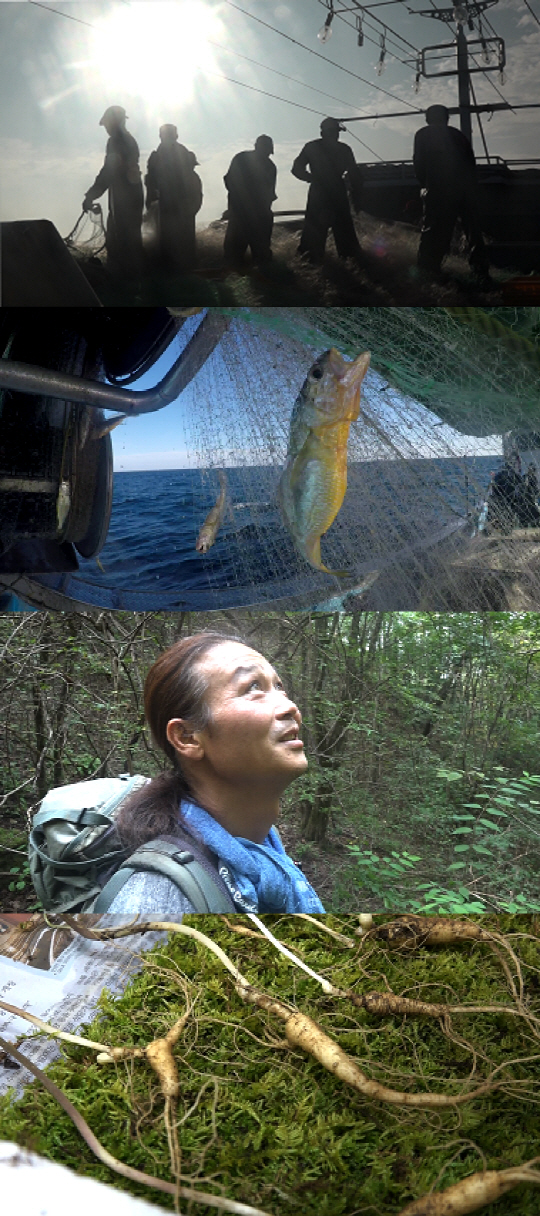 ‘극한직업’ 제주 참조기잡이 배·화천 산삼 캐는 심마니 현장 속으로