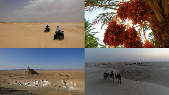 ‘세계테마기행’ 아웃 오브 아프리카, 튀니지 4부…‘사막의 자유인들’