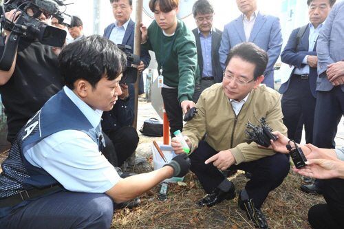 정부, 외래 붉은불개미 대응 총력전 …34개 항만에 덫 설치·조사