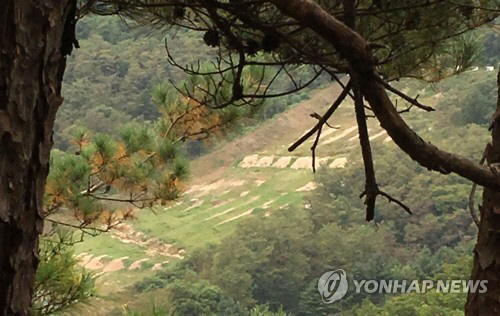 갑자기 날아든 총탄에 맞아 부대로 복귀하던 병사가 사망하는 사고가 발생한 철원의 군부대 사격장/연합뉴스.