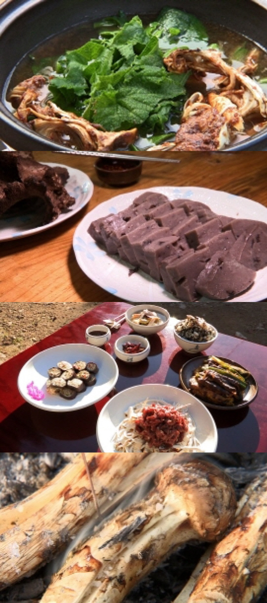 ‘한국인의 밥상’ 최불암, 소백산 버섯 밥상 소개…송이·능이·까치버섯