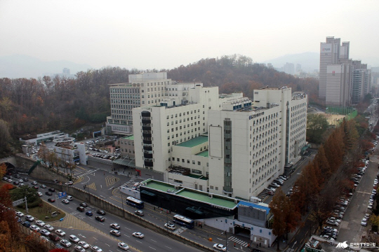서울 강남구에 위치한 강남세브란스병원 전경. /사진=인터넷 캡처