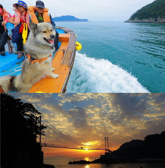 ‘한국기행’ 통영 연대도 구멍가게 마스코트犬 단비의 섬 나들이