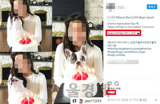 최시원 가족, 한일관 대표 사망한 날 '프렌치불독 생일파티'…'제정신인가' 네티즌 '경악'