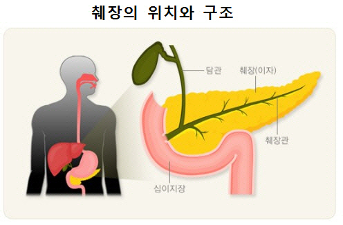 *출처: 보건복지부·대한의학회