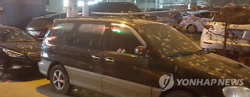 지난 겨울 출몰한 떼까마귀로 인해 주차된 차들이 피해를 입었다. /연합뉴스
