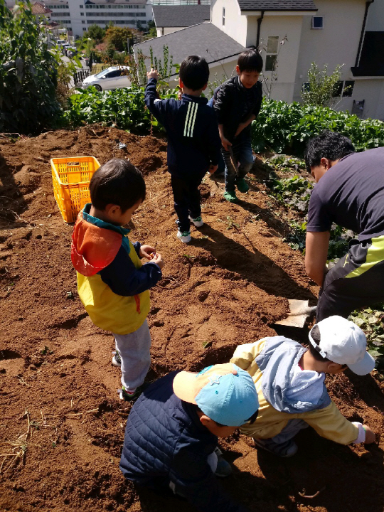 마룡리 전원일기<2>반상회 꽃이 피었네