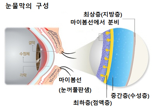 [아하! 건강상식] 안구세척제 자주 쓰면 눈보호 물질도 씻겨 이물질 들어갔을때만 제한적으로 사용해야