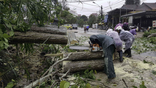This picture taken on November 4, 2017 shows men removing fallen trees on a street in Da Lat after Typhoon Damrey landed in central Vietnam.  At least 19 people have died and a dozen are missing after Typhoon Damrey barrelled into Vietnam, authorities said on November 5, just days  before the country welcomes world leaders to the APEC summit. / AFP PHOTO / Vietnam News Agency / STR      <저작권자(c) 연합뉴스, 무단 전재-재배포 금지>