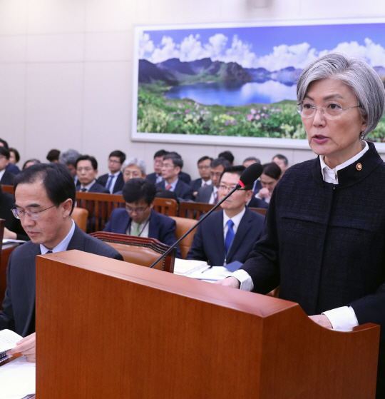 강경화 외교부 장관이 6일 오후 국회에서 열린 국회 외교통일위원회 전체회의에서 내년도 외교정책을 설명하고 있다. /연합뉴스