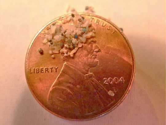 기존의 마이크로비드는 매우 작은 플라스틱 제품이다. 1센트 동전 면적 위에도 수백 개가 올라갈 수 있다.