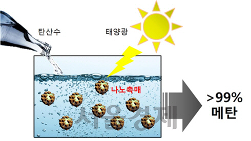 광나노촉매를 이용한 수용액에서의 이산화탄소 변환 반응 개념도