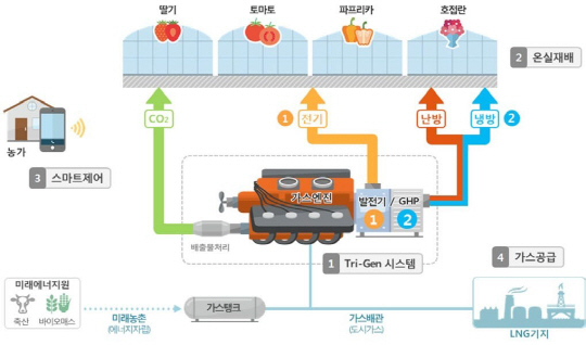 한국기계연구원이 세계 최초로 개발한 시설원예 ‘Tri -Gen’ 시스템 구조