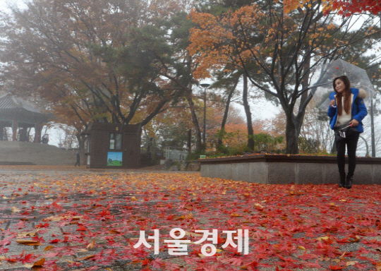 월요일인 13일 중부 지방에는 밤부터 본격적으로 비가 내리겠다./서울경제DB