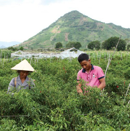 베트남에서 진행되고 있는 농촌개발 사업 현장.