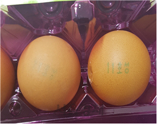 살충제 성분(피프로닐 대사산물) 검출량이 기준치를 초과한 계란 중 하나/사진제공=식품의약품안전처
