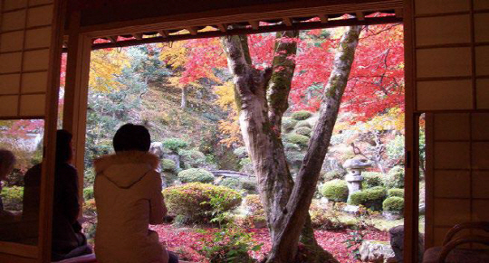 고즈넉한 드라이브에서 노천탕 체험까지 나만의 스타일로 즐기는 4색 일본 여행