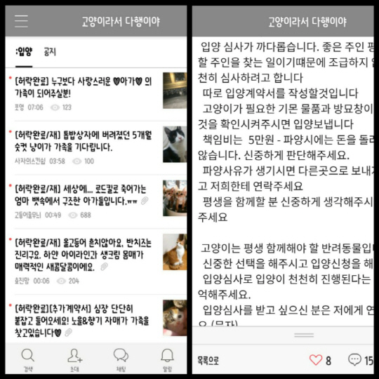 임시 보호 중인 유기묘를 깐깐한 절차를 통해 분양하는 인터넷 카페. 입양 후에도 사후 조치를 요구하며 버려지는 악순환을 막고자 노력합니다.