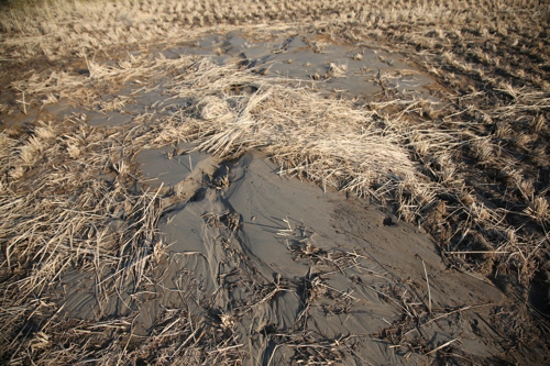 포항 진앙지 주변서 10m 길이 모래·진흙 분출구 발견