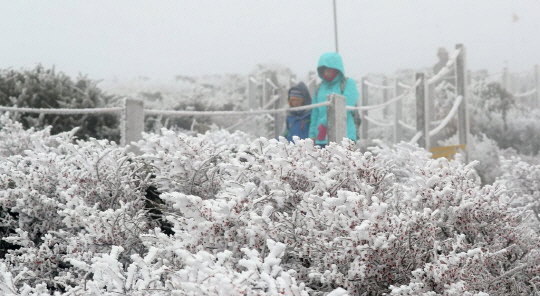 오늘 19일 한라산에 첫눈 ... ‘겨울의 시작을 알리는 신호탄’에 탐방객들 몰려
