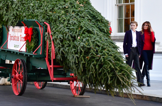 First Lady Melania Trump, joined by her son Barron, receives the official White House Christmas tree from the Chapman family of Wisconsin, at the White House on November 20, 2017 in Washington, D.C. The Champman‘s won a national contest to provide the White House with its official Christmas Tree. 19.5-foot tall Balsam fir will be displayed in the Blue Room throughout the holiday season. Photo by Kevin Dietsch/UPI      <저작권자(c) 연합뉴스, 무단 전재-재배포 금지>