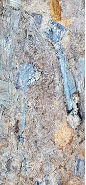 경산 하양 일대에서 원삼국시대 최상위 수장묘 발굴