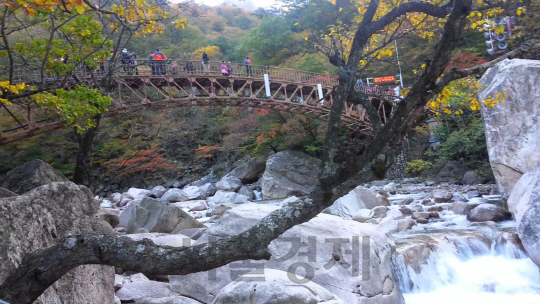 설악산 비선대