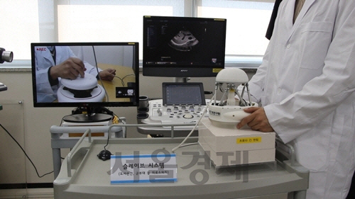 한국기계연구원이 개발한 원격 의료영상 진단 시스템 ‘RADIUS’. 왼쪽 화면안의 로봇이 ‘마스터 로봇’이고 오른쪽이 ‘슬레이브 로봇’이다. /사진제공=한국기계연구원