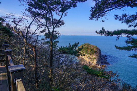 충남 보령 삽시도 둘레길