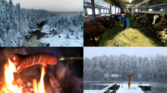 ‘세계테마기행’ 꿈꾸던 겨울, 핀란드 3부…‘핀란드식으로 살아보기’