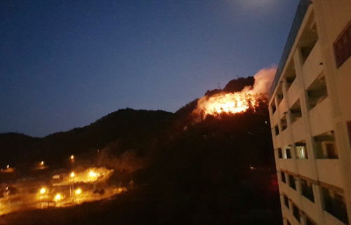 전남 영광 물무산서 산불…2시간 만에 큰 불길 잡았다