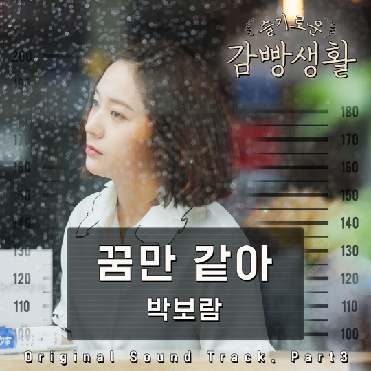 박보람, '슬기로운 감빵생활' OST 참여…'박해수X정수정' 회상신 그 곡