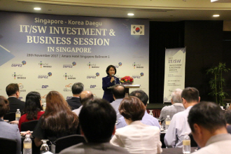 지난달 28일 싱가폴에서 열린 대구경북경제자유구역 투자설명회에서 이인선 청장이 인사말을 하고 있다./제공=DGFEZ.