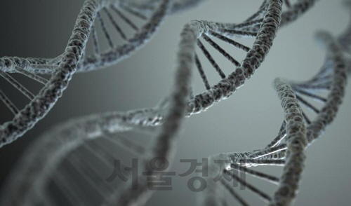 DNA 구조./[게티이미지뱅크 제공]