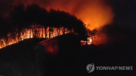 울산시 북구 시례동 인근 야산에서 원인 불명의 화재가 발생했다./연합뉴스