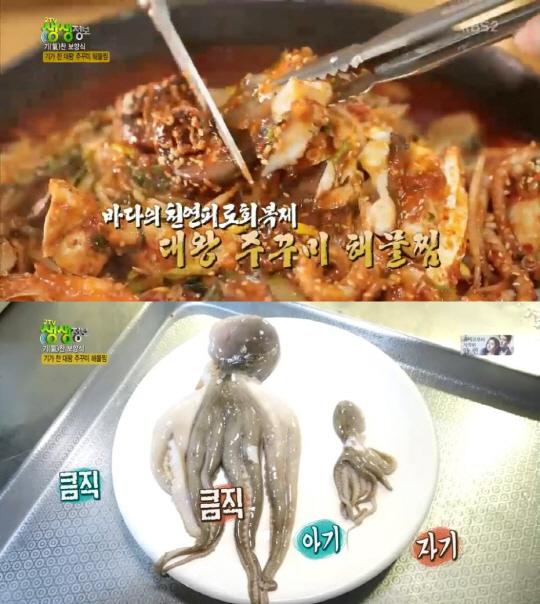 ‘생생정보’ 대왕 주꾸미 해물찜 맛집, 어디?…남양주 ‘마산아구찜’