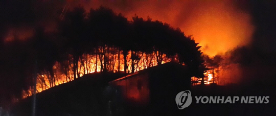 울산 산불, 임야 5㏊ 태우고 12시간 만에 진화…경위 조사 중