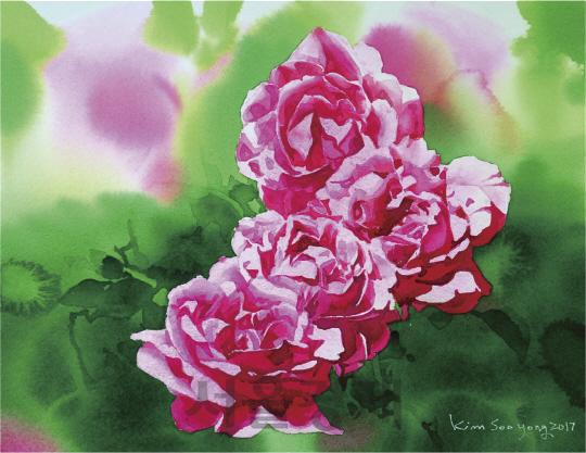 창원시 성산구 가음동 장미공원에 있는 장미를 소재로 그린 작품 중 하나인 ‘Rose1’