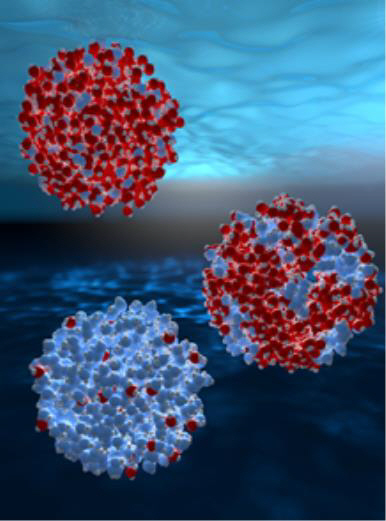 고밀도의 물분자(빨간색)와 저밀도의 물분자(파란색)을 표현한 그림. /사진=과학기술정보통신부 제공