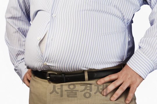 지난해 국가건강검진을 받은 성인 남자 10명 중 4명은 비만 판정을 받은 것으로 나타났다./이미지투데이