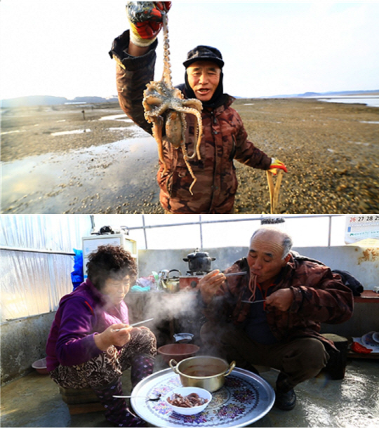 ‘한국기행’ 안면도 수해마을 천수만 갯벌 굴 수확 부부의 하루