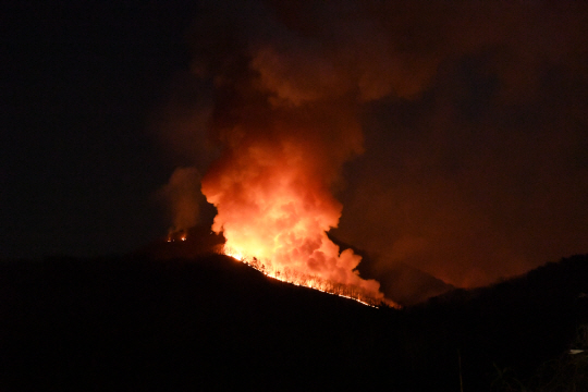지난 1일 오후 9시 46분께 부산 기장군 삼각산 정상 일원에서 큰 불이 났다./사진제공=기장군