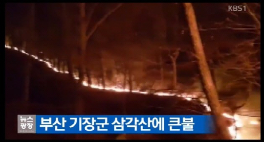 ‘부산 기장군’ 삼각산 큰 산불, 원인은? “밤 11시 넘어서야 진립로 확보” 주민대피령 준비 중