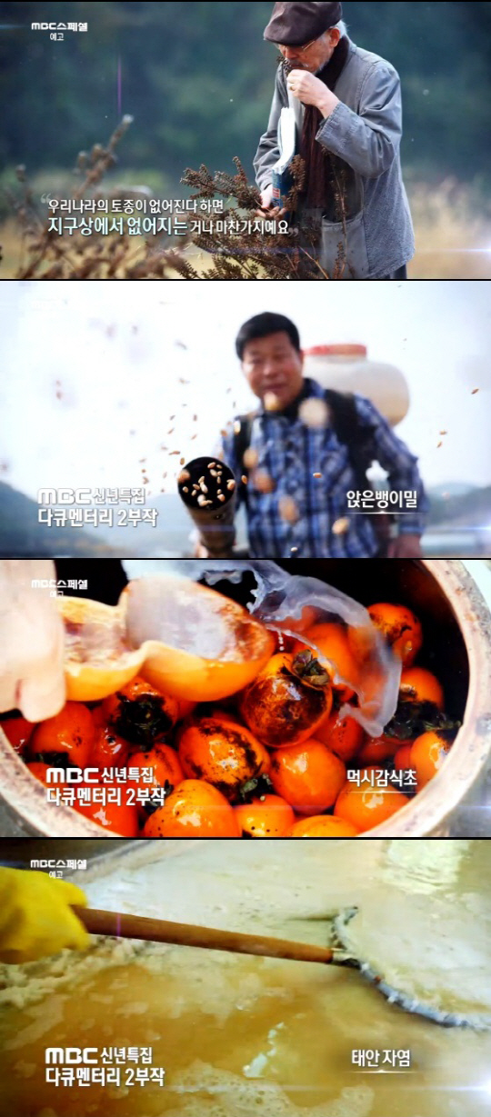 ‘MBC스페셜’ 맛의 방주 프로젝트, 소멸위기 식재료를 지켜라!