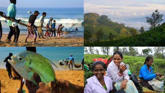 ‘세계테마기행’ 진짜 스리랑카 2부…‘스리랑카 보물찾기’