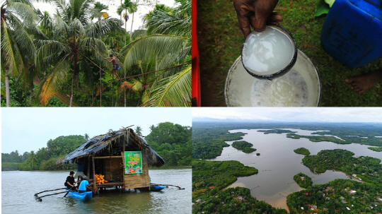 ‘세계테마기행’ 진짜 스리랑카 4부…‘64개의 섬, 마두강가 사람들’